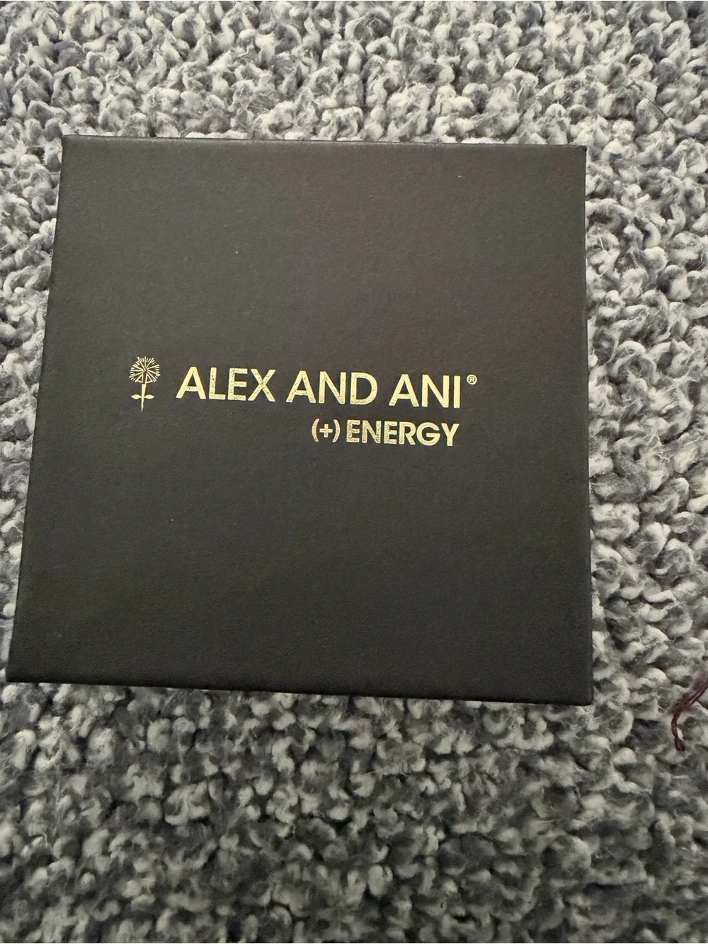 Alex and Ani What’s For You Will Not Pass You bracket